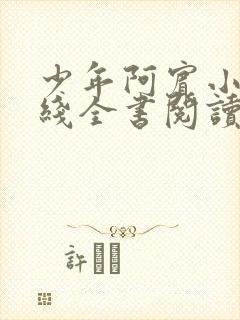 少年阿宾小说在线全书阅读无弹窗免费