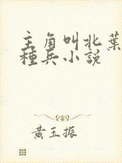 主角叫北叶的特种兵小说