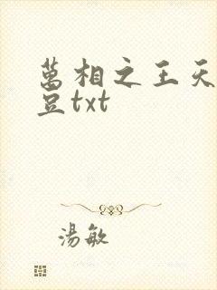 万相之王天蚕土豆txt