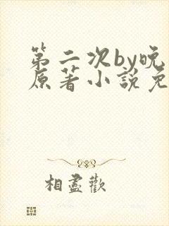 第二次by晚月原著小说免费阅读