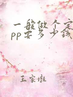 一般做个定制app要多少钱