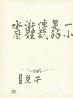 水浒传是一篇什么体裁的小说