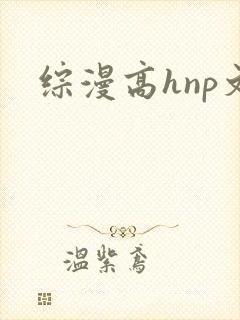 综漫高hnp文