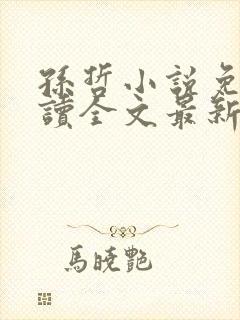 孙哲小说免费阅读全文最新章节 孙哲小说免费阅读全文最新章节