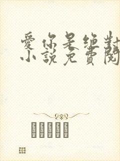 爱你是绝对秘密小说免费阅读