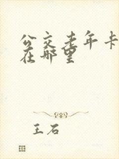 公交老年卡年检在哪里