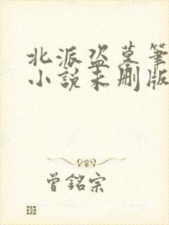 北派盗墓笔记 小说未删版全文