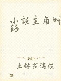 小说主角叫叶凡的