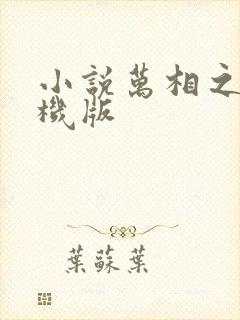 小说万相之王手机版