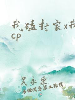 我磕对家x我的cp