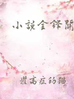 小说金锋关晓柔 小说金锋关晓柔