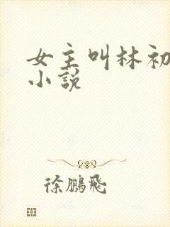 女主叫林初九的小说