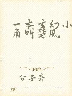 一本玄幻小说主角叫楚风