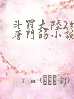 斗罗大陆2绝世唐门的小说