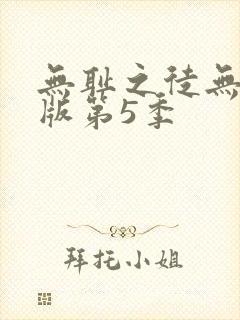 无耻之徒无删减版第5季