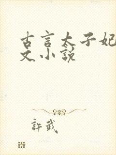 古言太子妃甜宠文小说