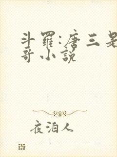 斗罗:唐三是我哥小说