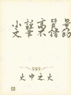 小说高质量言情文笔不错的