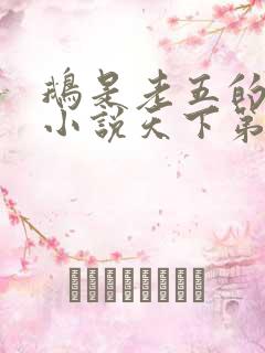 鹅是老五的全部小说天下第九
