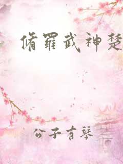 修罗武神楚枫最