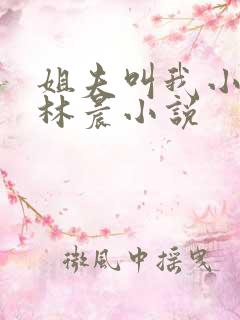 姐夫叫我小撩精林晨小说