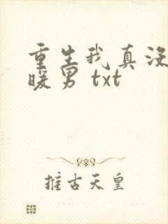 重生我真没想当暖男 txt