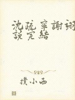 沈疏宁谢翊川小说完结