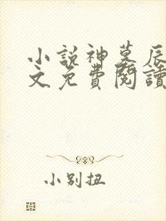 小说神墓辰东全文免费阅读 小说神墓辰东全文免费阅读