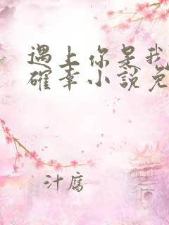 遇上你是我的小确幸小说免费阅读
