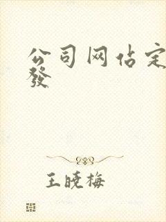 公司网站定制开发