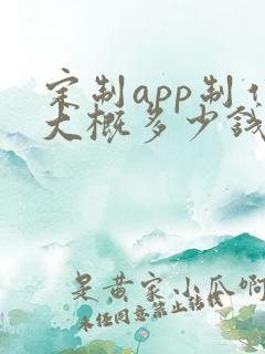定制app制作大概多少钱