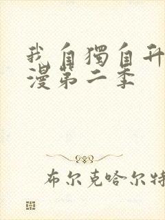 我自独自升级动漫第二季