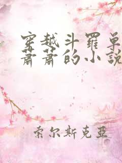 穿越斗罗单女主萧萧的小说