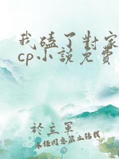 我磕了对家我的cp小说免费 我磕了对家我的cp小说免费