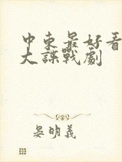 中东最好看的十大谍战剧 中东最好看的十大谍战剧