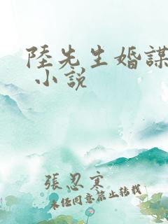 陆先生婚谋已久 小说