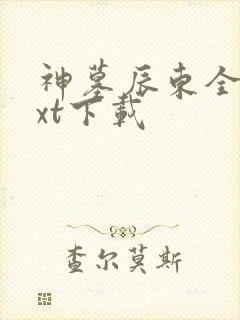 神墓辰东全本txt下载