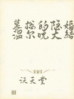 慕总的隐婚罪妻温尔晚大结局