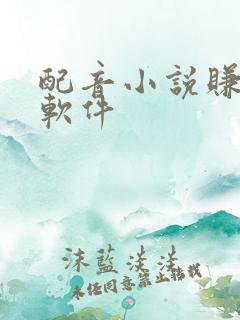 配音小说赚钱的软件