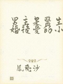 男主是医生的先婚后爱的小说