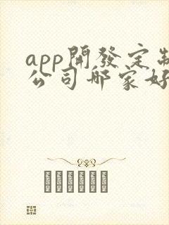 app开发定制公司哪家好做