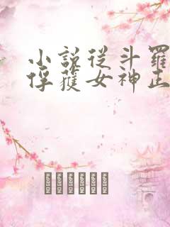 小说从斗罗开始俘获女神正版