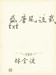 盛唐风流武状元txt