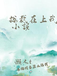 总裁在上我在下 小说