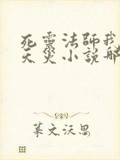 死灵法师我即是天灾小说哪里免费