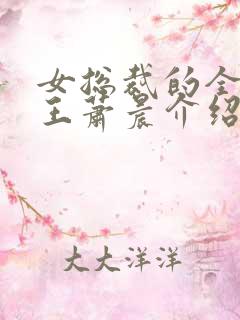 女总裁的全能兵王萧晨介绍