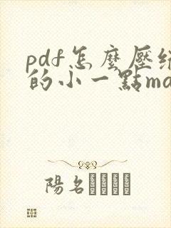 pdf怎么压缩的小一点mac