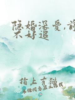 隐婚深爱,前妻不好追