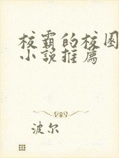 校霸的校园甜宠小说推荐