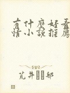 有什么好看的言情小说推荐